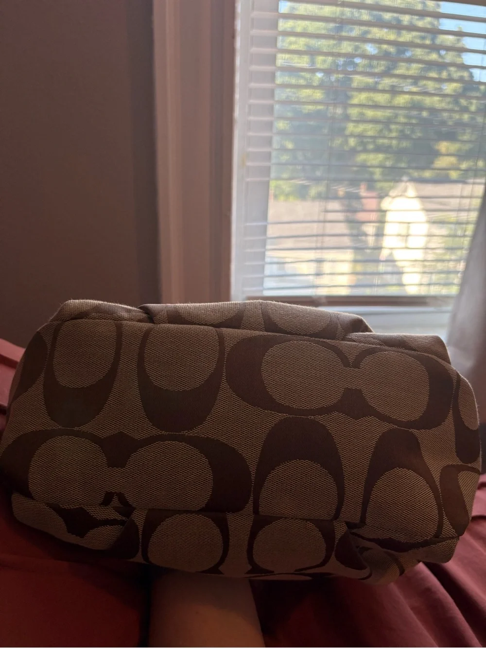 Coach Carly Hobo Bag
